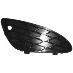  Grille de Pare Chocs G W211. 