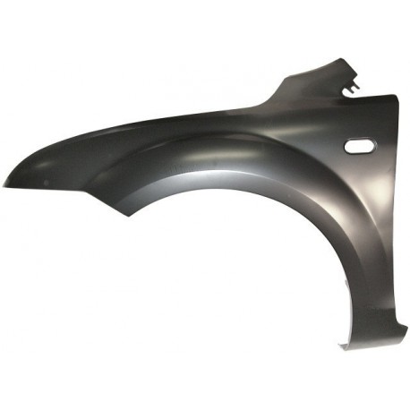 Aile gauche (Côté conducteur) Ford Focus II 04-07