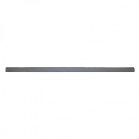 Baguette et bande protectrice porte avant à  gauche (Côté conducteur) Ford Focus II 04-07