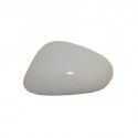 coque Rétroviseur G SEAT LEON05-09