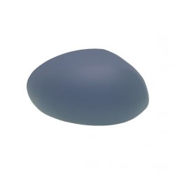 verre Rétroviseur D