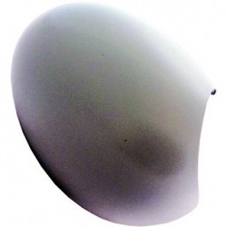 Revêtement rétroviseur extérieur droit (Côté passager) BMW Mini One Cooper Clubman 06-