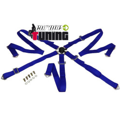HARNAIS BLEU 5 POINTS (03030)