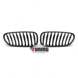 CALANDRE POUR BMW Z4 (00160)