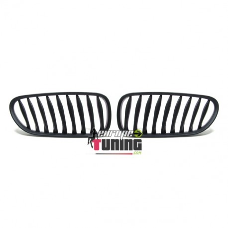 CALANDRE POUR BMW Z4 (00160)