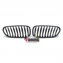 CALANDRE POUR BMW Z4 (00160)