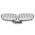 CALANDRE CHROM POUR BMW Z4 (00159)