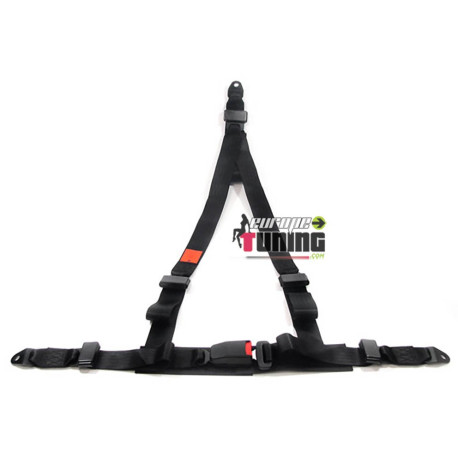 HARNAIS NOIR 3 POINTS (04463)