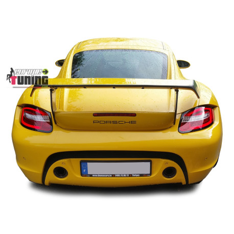 FEUX LEDS CELIS DYNAMIQUES PORSCHE BOXTER 987 04-09 (04472)