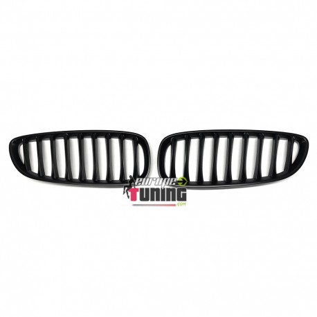 CALANDRES NOIRES MATES SPORT LOOK  PACK M BMW Z4 E89 2009-2016 (05003)