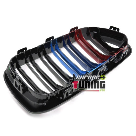CALANDRES DOUBLE LAMES TRICOLOR MOTORSPORT BMW SERIE 1 F20 F21 2015-2018 (06404)