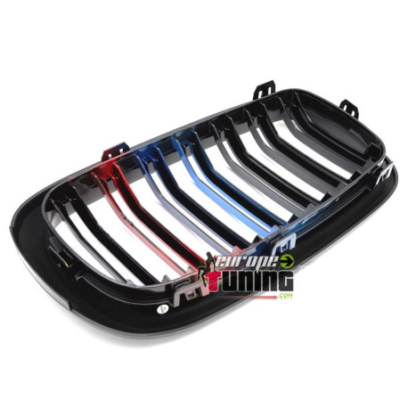 CALANDRES DOUBLE LAMES TRICOLOR MOTORSPORT BMW X5 X6 2013-2019 (06418)
