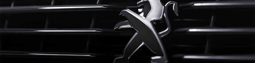 Feux, Phares et Pièces tuning pour Peugeot Autres