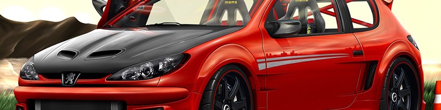 Peugeot 206 Tuning : Feux, Phares et Pièces tuning