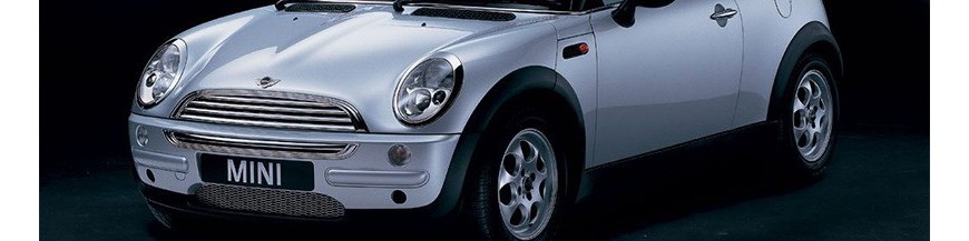 Mini Phase 1 - R50 à 53 (2001-2006)