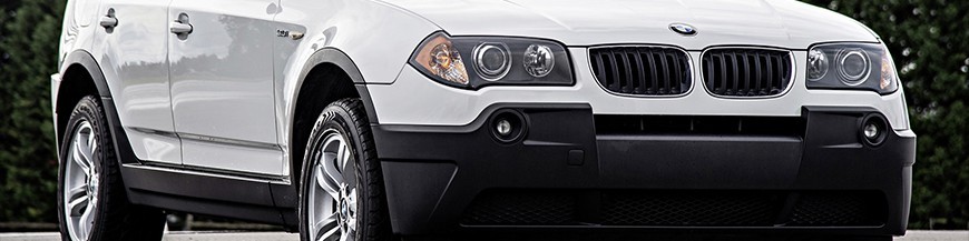 X3 - E83 (2003-2006)