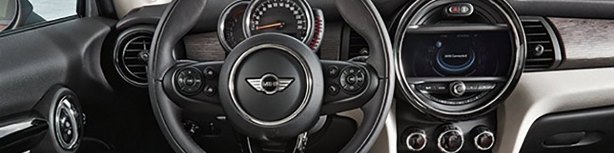 Countryman Paceman R60 R61 F60