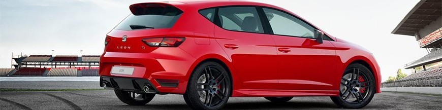 Leon III (2012- 2019)